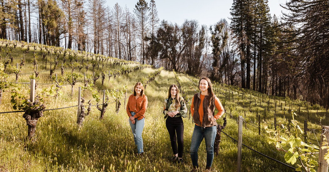 Bir Napa Favorisi Geleceğe Dönüyor