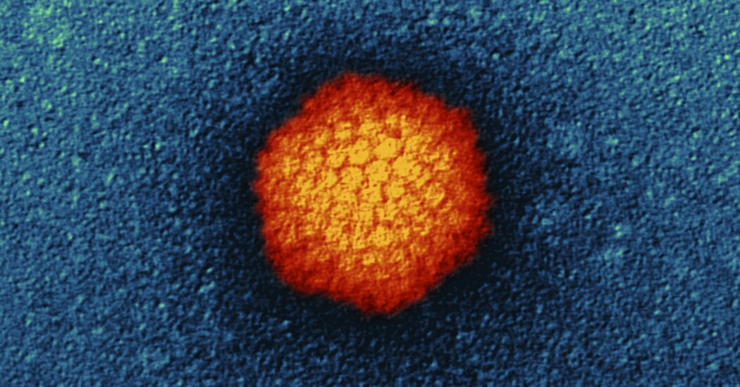 CDC, Çocuklarda Hepatit Vakaları Kümesi Üzerine Uyarı Verdi