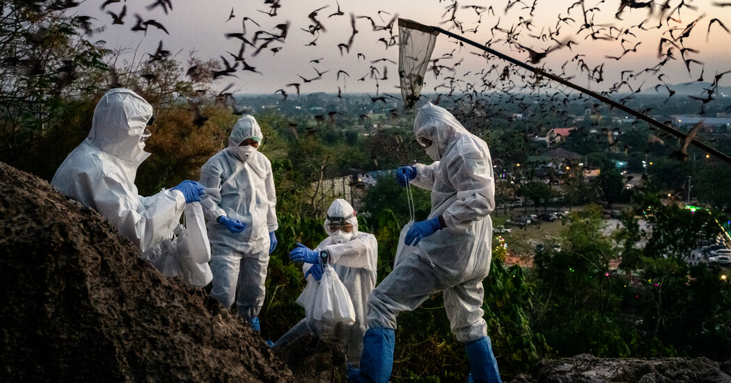 İklim Değişikliği Viral Yayılmaları Hızlandıracak, Çalışmaları