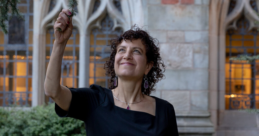 Yaşlı Ayrımcılığının Sağlık Etkilerini Keşfetmek