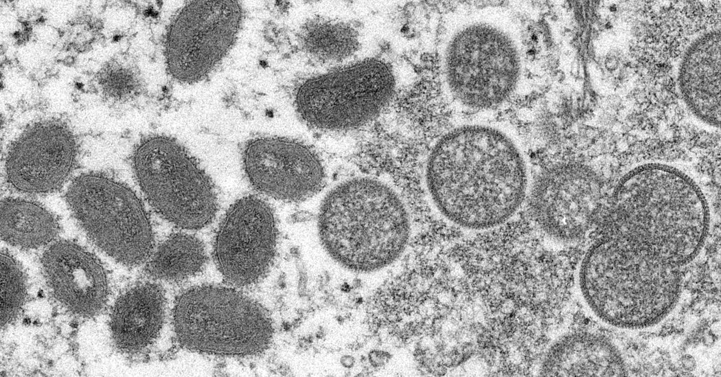 Bir Massachusetts Adamına Monkeypox Bulaşmış