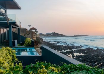 Arka Okulları ve Rezidanslarının Geniş, Vahşi Dünyasına Kısa Bir Rehber