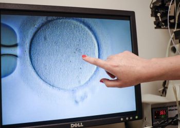 Kısırlık Hastaları ve Doktorlar Kürtaj Yasaklarının IVF’yi Kısıtabileceğinden Korkuyor