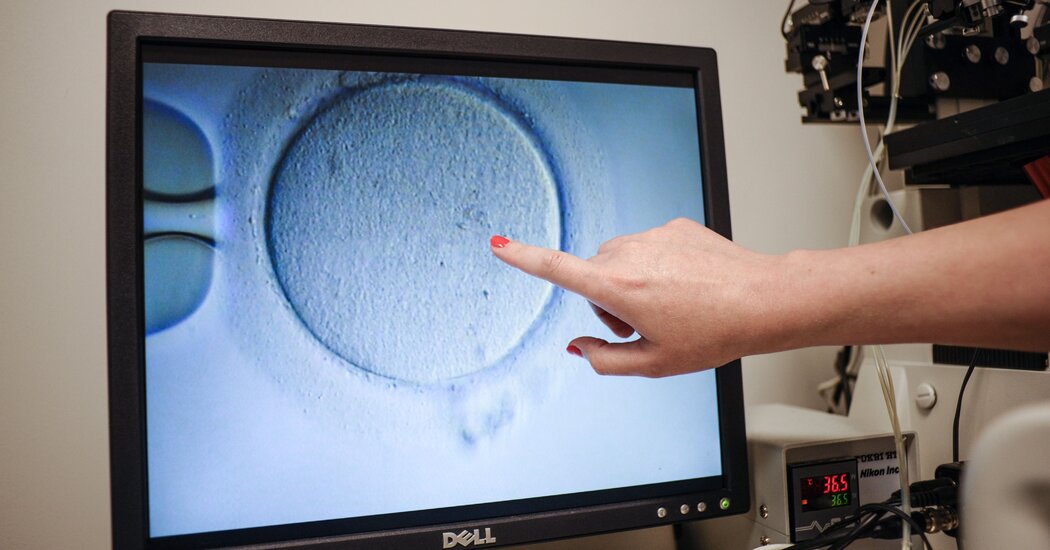 Kısırlık Hastaları ve Doktorlar Kürtaj Yasaklarının IVF’yi Kısıtabileceğinden Korkuyor