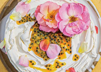 Sadece Bir Çeşni Olmayan Renkli, Beklenmedik Sıkışmalar