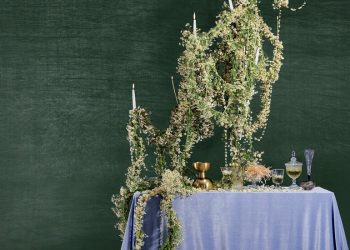 Papatya Neden Aniden Her Yerde?