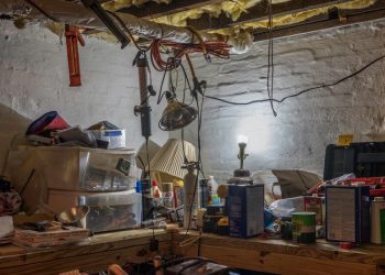 Bitmemiş Bodrumlara Övgü