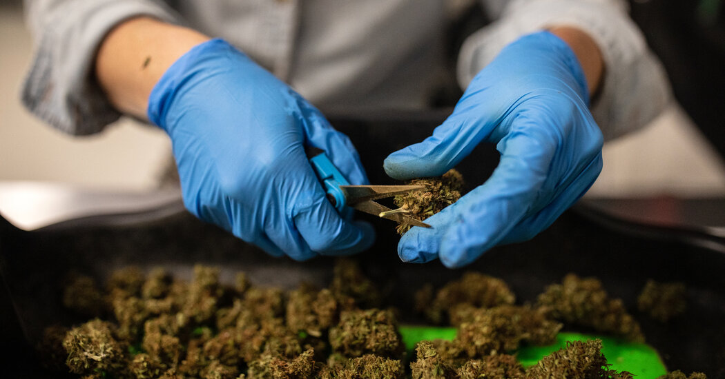 FDA, CBD Ürünlerini Denetlemek İçin Daha Fazla Yetki İstiyor