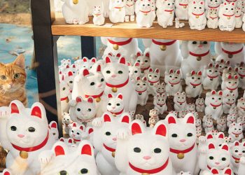 Japonya’da Kediler Neden Bu Kadar Efsanevi Güçlere Sahip?