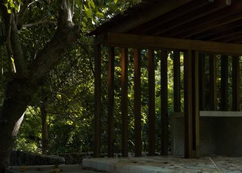 Bu Evlerde Önemli Olan Dışarısı