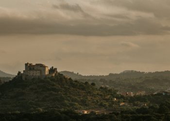 Mayorka Yerel Rehberi