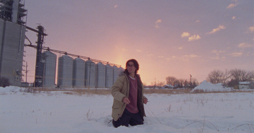 Yeni Bir Eko-Gerilim Türü İklim Eylemine İlham Verebilir mi?