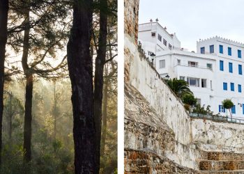 Fas’ın Kültürel Mıknatısı Tanca’da Ne Görmeli, Yenir ve Satın Alınır