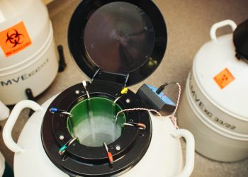 Büyük Embriyo Nakliye Şirketi Alabama’daki Faaliyetlerini Durdurdu