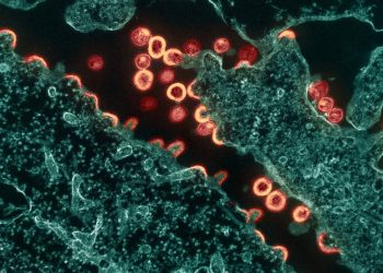 HIV Grupları, CDC’nin Virüs Örneklerini Nasıl Takip Ettiğine İlişkin Gizlilik Riskleri Konusunda Uyardı