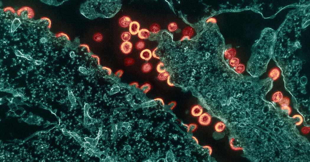 HIV Grupları, CDC’nin Virüs Örneklerini Nasıl Takip Ettiğine İlişkin Gizlilik Riskleri Konusunda Uyardı