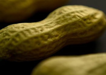 Xolair ve Gıda Alerjileri Hakkında Bilmeniz Gerekenler