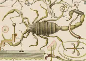 Doğanın ‘İsviçre Çakısı’: Zehirden Ne Öğrenilebilir?