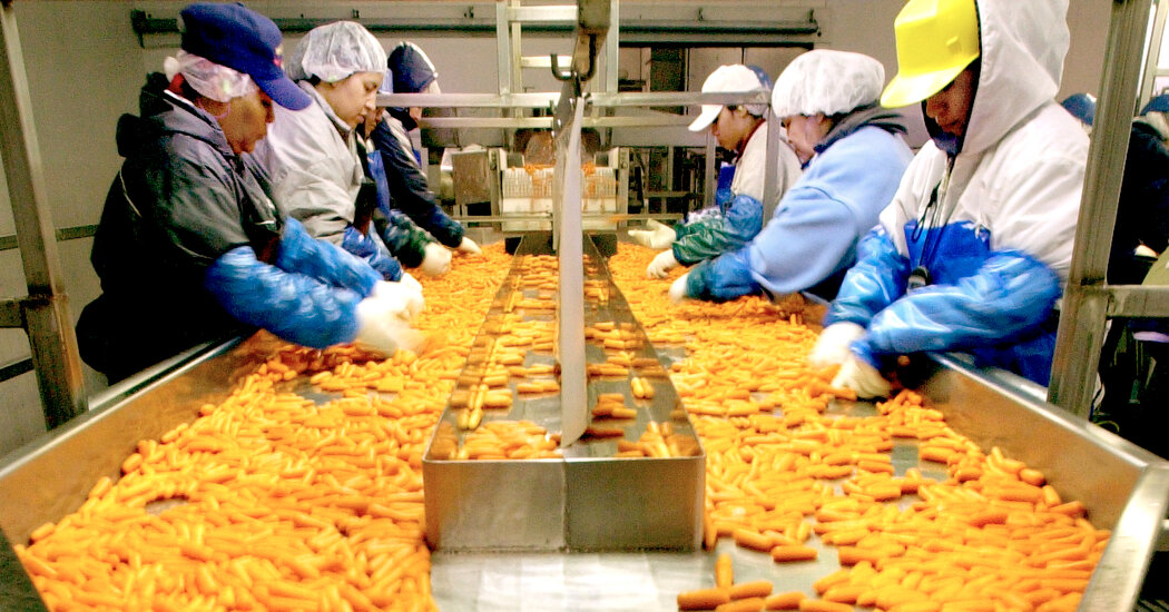 E. Coli Salgınında Organik Havuçla Bağlantılı 1 Ölü ve Düzinelerce Hasta