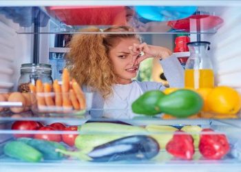 Buzdolabi Kokusunu Aninda Yok Eden Doğal Yökemer!