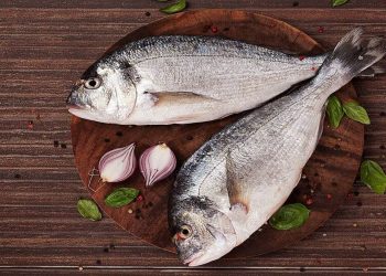 Omega-3 DePOSU! Buharda çipura