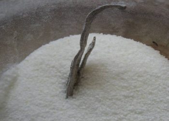 Şeyli vanilin kalmadı mi? Işte Yerine Kullanabileceviniz Malzemeler!