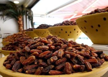 Medjool, Ajwa, Safavi… en Lezzetli Hurma Çeşitleri Hangileri?