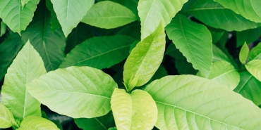 Arka-Sokaklar8217in-Vedat-Mudur8217u-Huzurevinde-Kaliyorum-featured