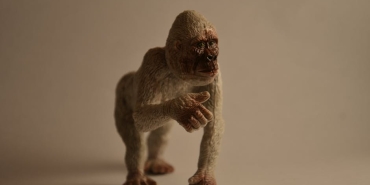 Hande-Ercel-ve-Aybuke-Cangal8217in-Sasirtan-Benzerligi-Gundemi-Salladi-featured