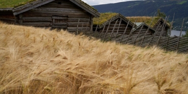 Norvec-Fon-CEO8217sundan-Masumiyet-Muzesi8217ne-Uluslararasi-Ovgu-featured