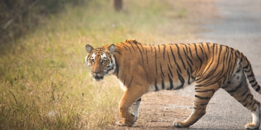 Yesilcam8217in-Usta-Ismi-Necdet-Kokes-Vefat-Etti-featured