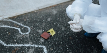 Beren-Saat8217in-8216CapitaliZoo8217su-Mercek-Altinda-Ingiliz-Dil-Bilimci-Sifrelerini-Cozdu-featured