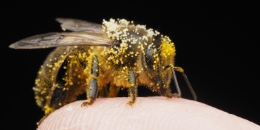 Haaland-ve-Arda-Guler8217in-Beklenmedik-Ani-Dunyayi-Salladi-featured