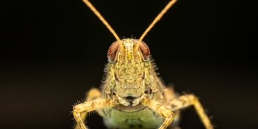 Nihan-Buruk8217tan-8220Dinozor8221-Gondermesi-Okan-Buruk8217a-Yanit-mi-featured