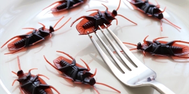 X-Kullanicilari-En-Garip-Fobilerini-Cesaretle-Paylasti-featured