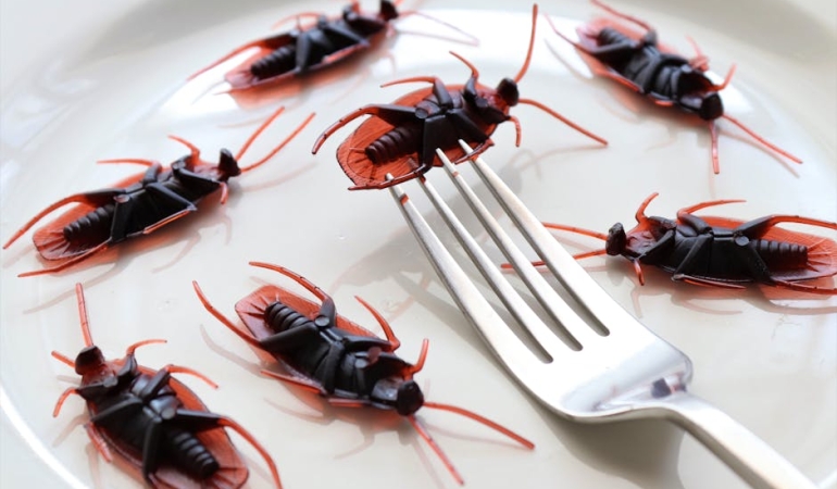 X-Kullanicilari-En-Garip-Fobilerini-Cesaretle-Paylasti-featured