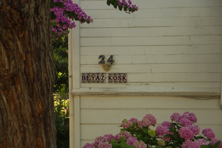 Nisa-Bolukbasi-Instagram-Aboneligiyle-24-Saatte-Asgari-Ucret-Kazandi-featured