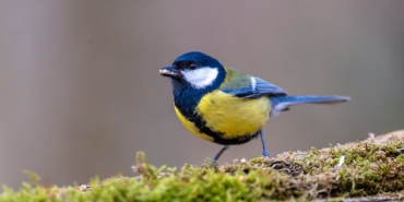 Twitter8217in-Altin-Cagindan-Unutulmaz-Tweetler-featured